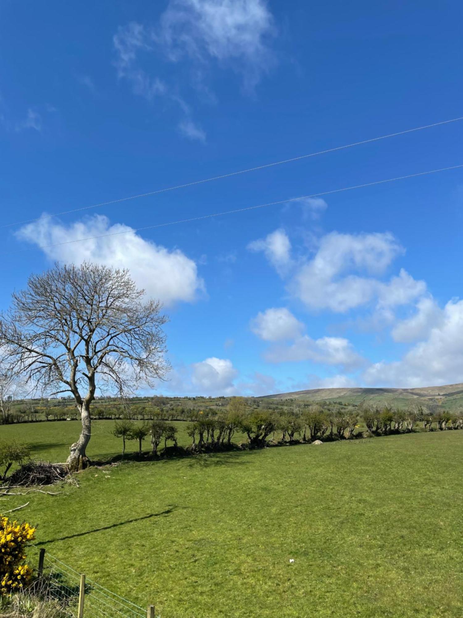 Mobile Holiday Home Cushendall Kültér fotó